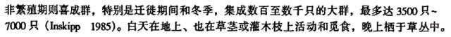 禾花雀要被吃灭绝了怎么办？挺急的，在线等！