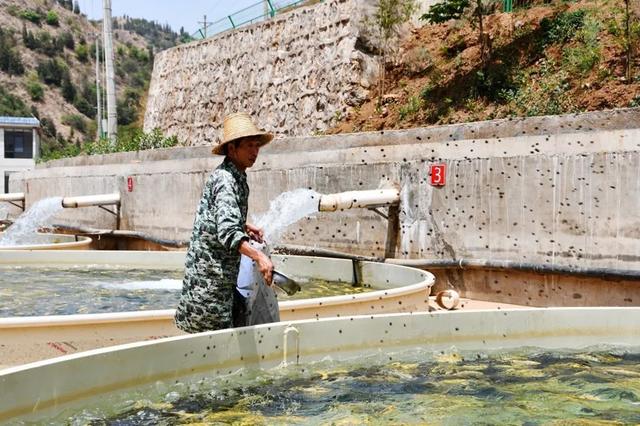 宣威市务德镇过山洞村通过鱼类养殖助推乡村振兴