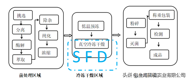 天然虾青素冻干工艺流程和虾青素冻干机设备