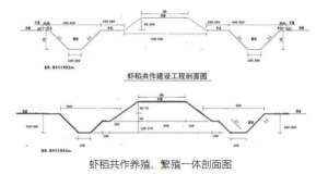 农田养殖龙虾建设图(稻虾养殖田埂设计和稻虾养殖模式)