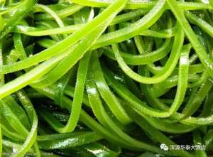 养殖用的切菜机(海带