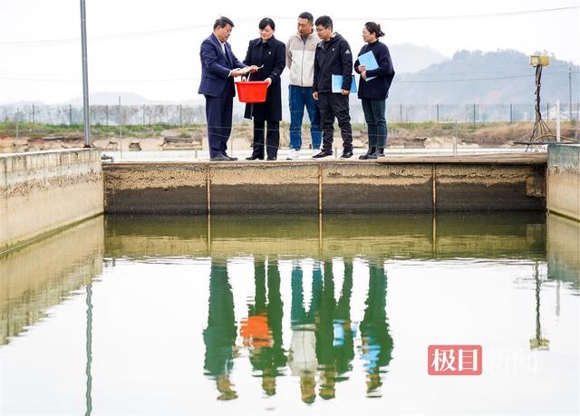 重振“全国水产大县”荣光，武汉江夏“水产先锋队”服务渔业争先锋