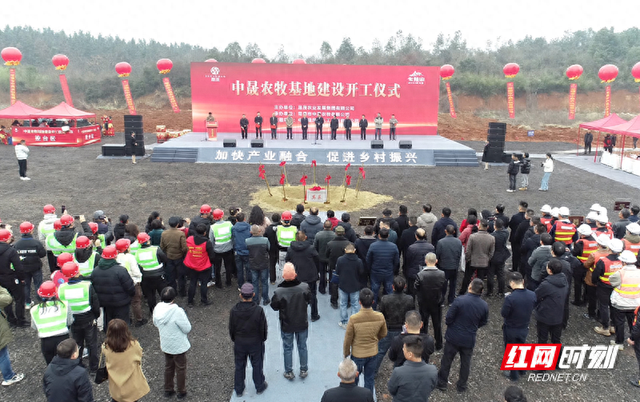 总投资11亿元 ！常德市鼎城区400万羽蛋鸡养殖基地建设开工