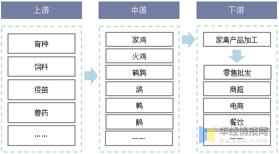 2021年家禽行业发展现状，行业规模稳定增长，家禽养殖规模化发展