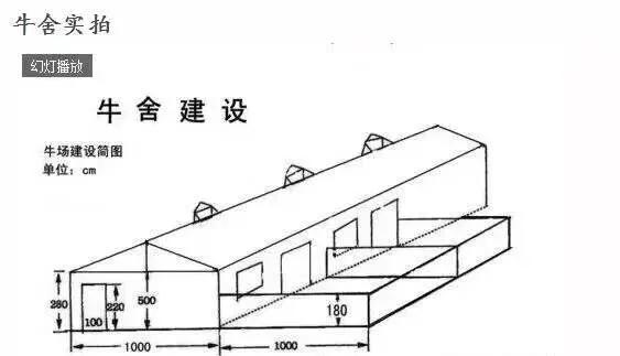 牛场圈舍设计图！供养牛爱好者参考