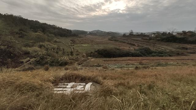 钓麦鲮的时间已过，要过瘾的可以放弃洗洗睡了