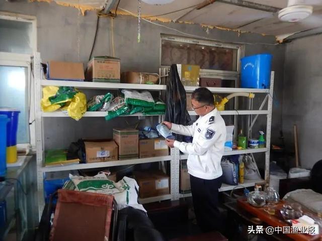 已明查！“文登刺参”品质大曝光