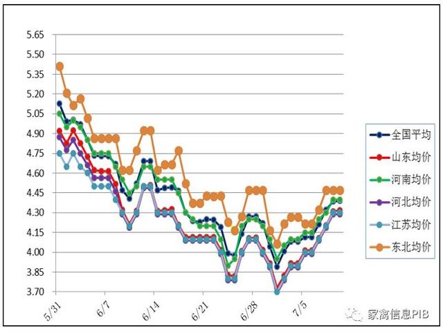 2019年7月29日鸡苗、毛鸡、麻鸡行情早报分析