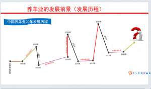 养殖山羊的前景如何(未来几年，在农村养羊有前景么？能赚到钱么？)