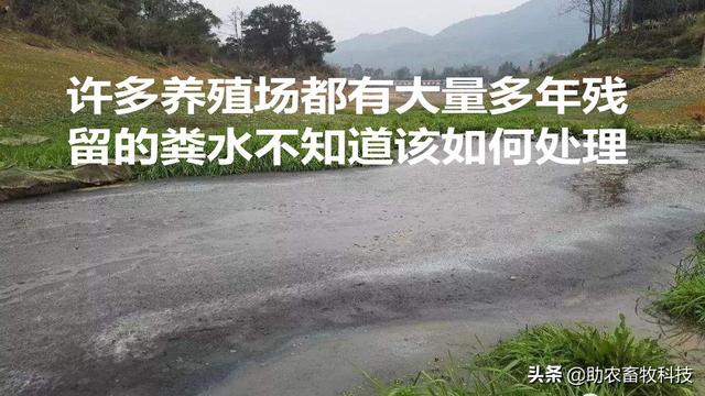 短时间处理掉养殖场大量废水（粪水）技术，不需设施投入