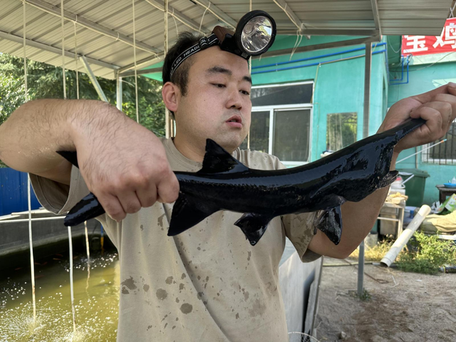 宝鸡市金台区：特色养殖产业拓宽致富路