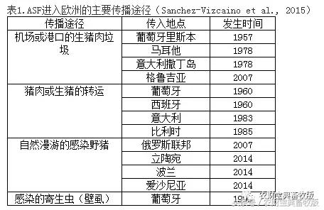 非洲猪瘟肆虐国外养猪业！但是猪肉还是可以放心吃