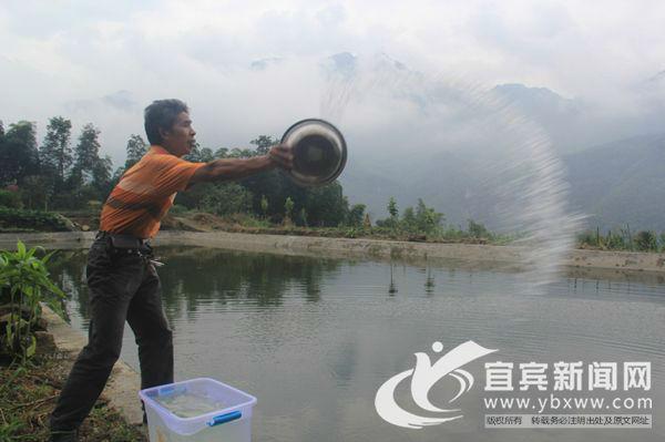 长宁富兴乡冷水鱼产业助推乡村振兴