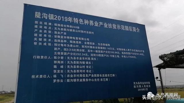 他用12年成就上亿元的龟产业，用200亩水面打造花园式尾水处理系统，下一步他还要进军龟肉熟食深加工