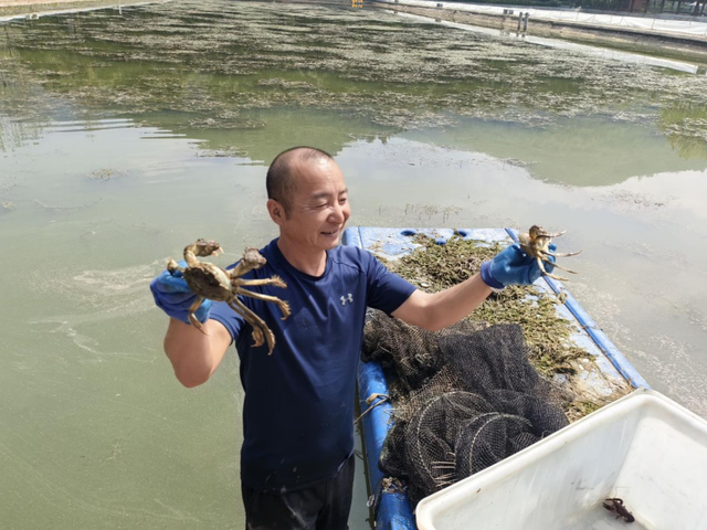 宝鸡市金台区：特色养殖产业拓宽致富路