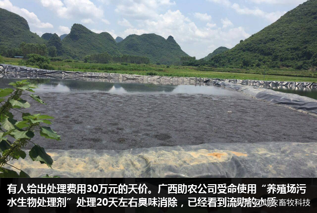 短时间处理掉养殖场大量废水（粪水）技术，不需设施投入