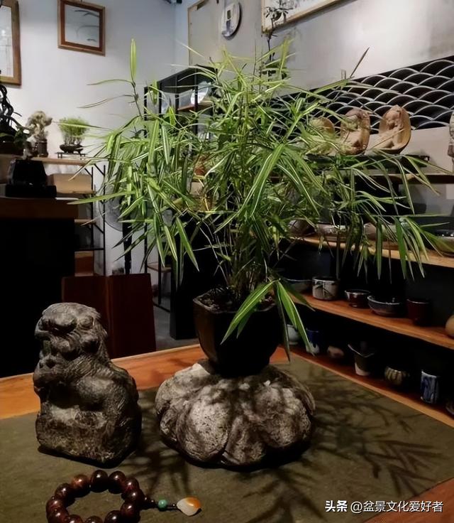 花草千百种，独爱松与竹