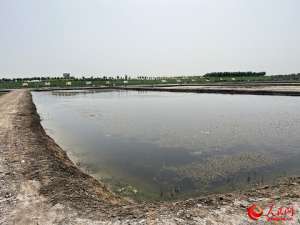 虾养殖基地在那里(沿着河湖看新疆丨大漠荒滩育“澳龙”——探秘麦盖提澳龙养殖基地)