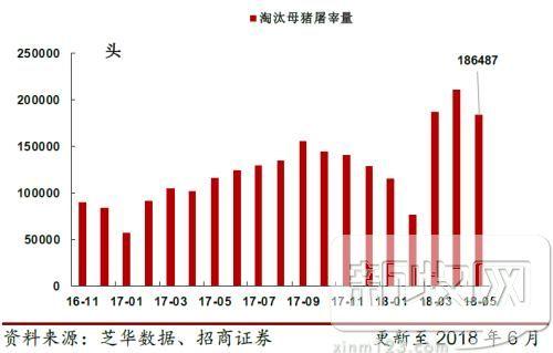 深度｜生猪养殖行业研究分析