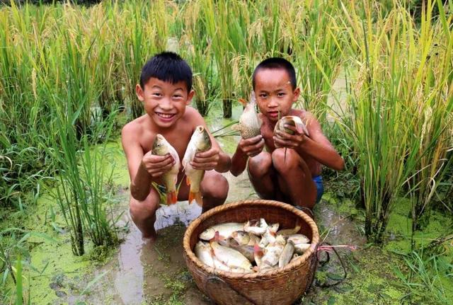 黔地出好水，好水养好鱼~贵水黔鱼，“游”上百姓餐桌