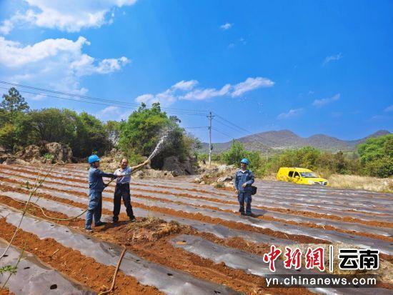 曲靖沾益：电助力，“渴水”村走上养殖大道