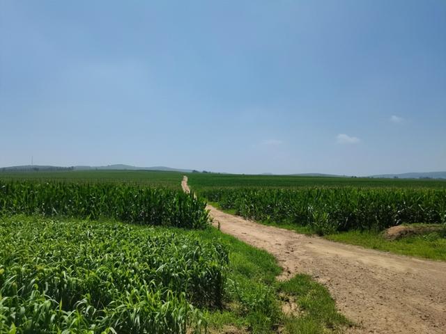 科技赋能：从会种田到“慧”种田