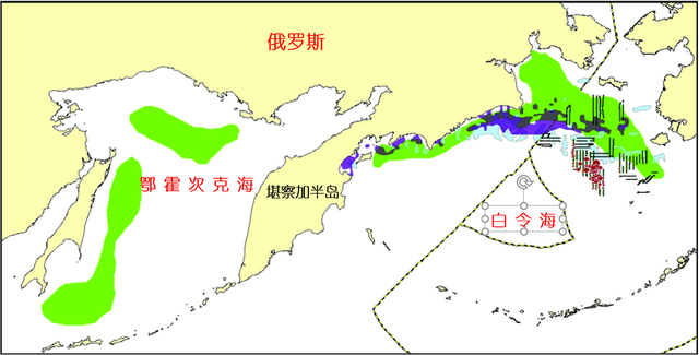 狭鳕的秘密：1条“救命鱼”、4个“开发者”以及混乱的市场