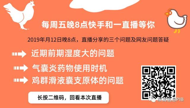 2019年7月29日鸡苗、毛鸡、麻鸡行情早报分析