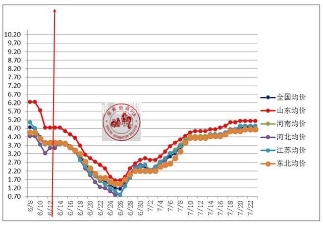 2019年7月29日鸡苗、毛鸡、麻鸡行情早报分析