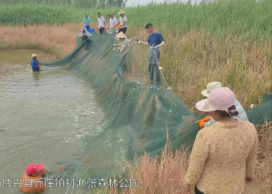 中国人寿财险与地方政府携手打造产业风险防护屏障  财政保险联动为对虾养殖“撑腰壮胆”