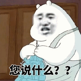 还在问怎么养好小松鼠？干货都在这了~