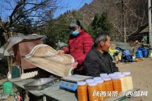 西安土鸡养殖基地(视频丨西安六旬夫妻留守大山养土鸡土猪土蜂 品质好不愁卖)