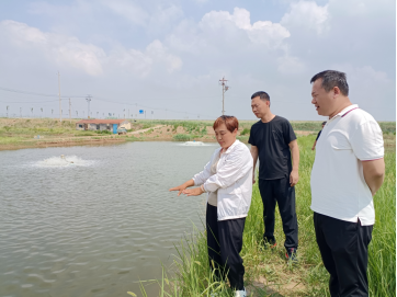 中国人寿财险与地方政府携手打造产业风险防护屏障  财政保险联动为对虾养殖“撑腰壮胆”