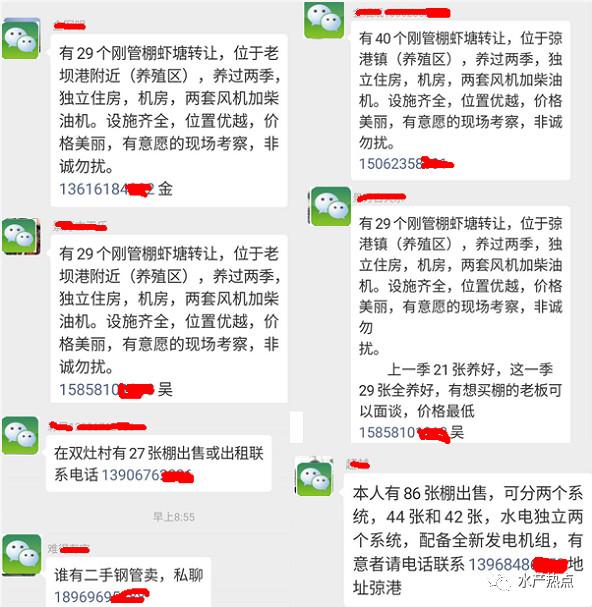 江苏南通如东早造对虾成功率高达7成，虾农却不想养了，真相让人唏嘘