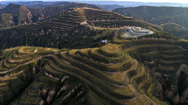 乡村振兴看山西｜永和县：万亩荒坡变梯田 高效农业铺就致富路