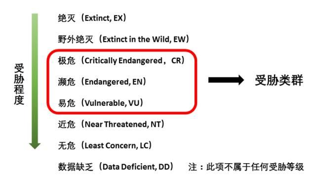 禾花雀要被吃灭绝了怎么办？挺急的，在线等！