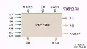 生猪养殖风险评估(如何全方位做好猪场生物安全风险评估，切断病毒传播链条)