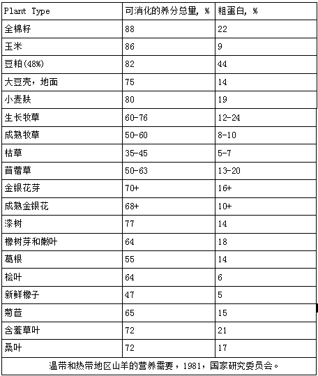 干货！如何降低肉山羊的饲养成本？最全面的肉山羊饲养、管理方法