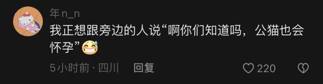 什么？公猫也会怀孕？铲屎官还报喜，父子平安？