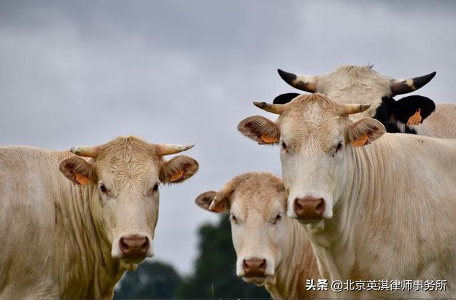 开养殖场需要办理哪些手续？