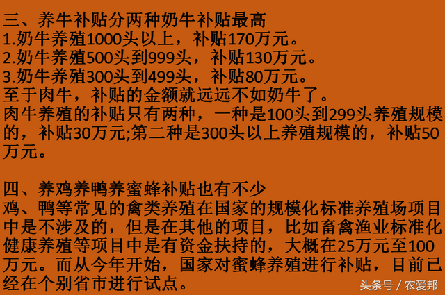 农村养殖政策补贴，你能拿多少？能申报的尽快申报？