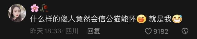 什么？公猫也会怀孕？铲屎官还报喜，父子平安？