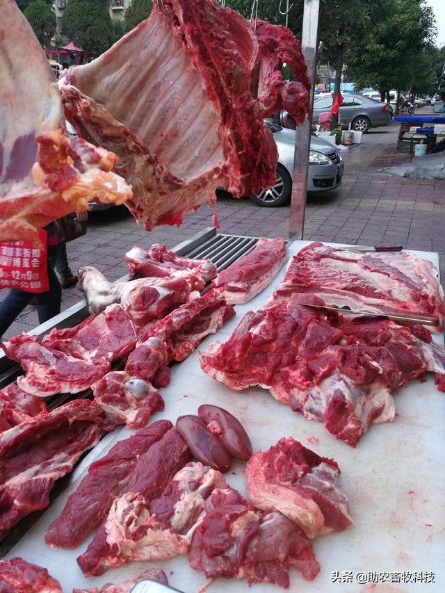 寻找100个生产高品质猪鸡鸭肉的养殖场，免费赠送产品并提供技术