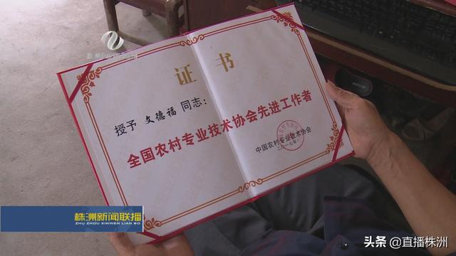 年收入超60万！“青蛙王子”还注册了商标