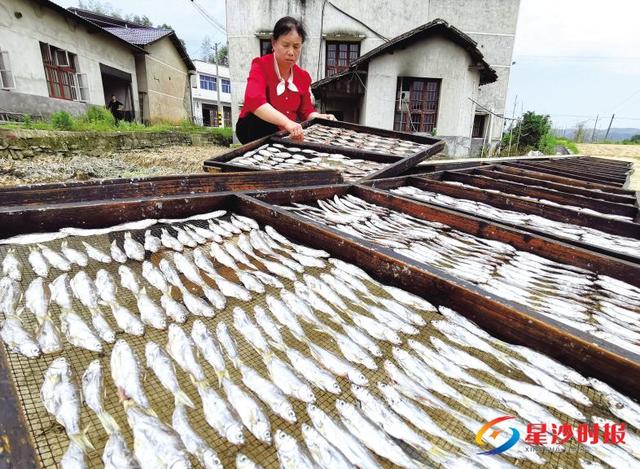 湖南长沙县生产的火焙鱼味美价优，火焙鱼年产值100万元