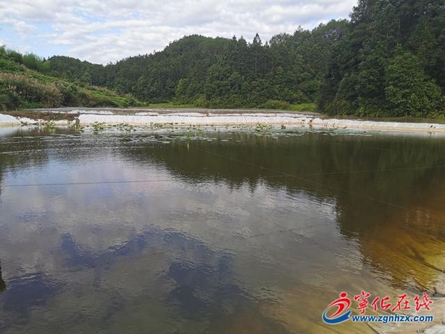 小泥鳅“钻”出致富路