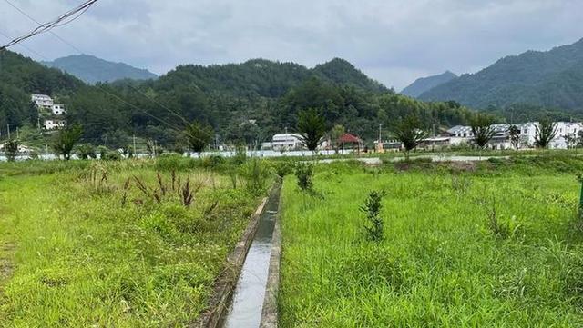 大闸蟹“上山”——大别山区农村产业振兴一线见闻