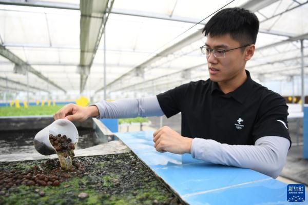 三位香港青年的蔬菜梦工厂