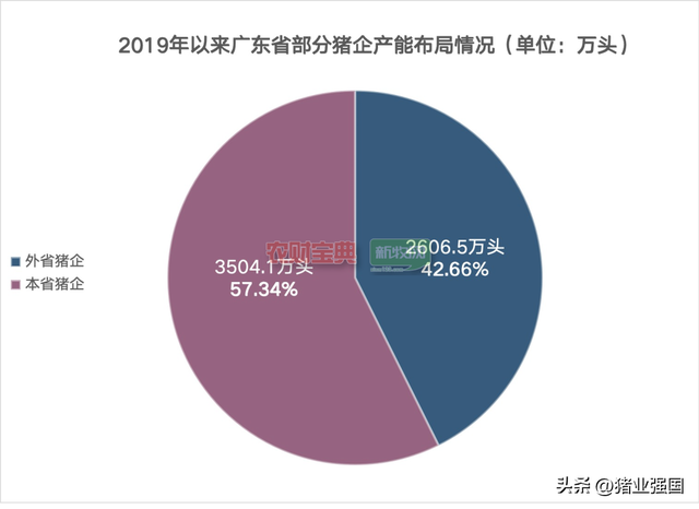 巨头纷纷抢滩！40家猪企在粤产能规划超6100万头，未来广东会出现产能过剩吗？