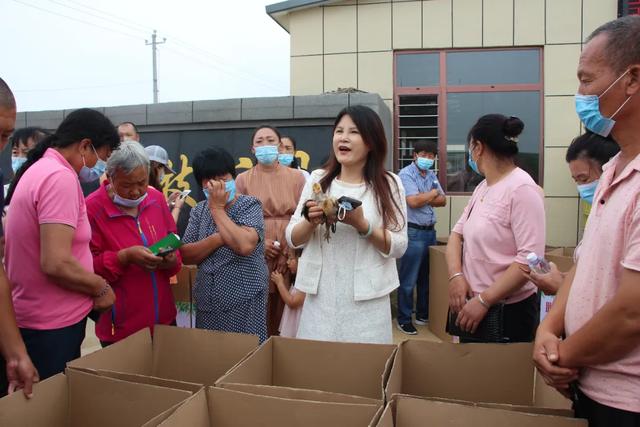 东港 市妇联笨鸡散养产业扶贫项目启动